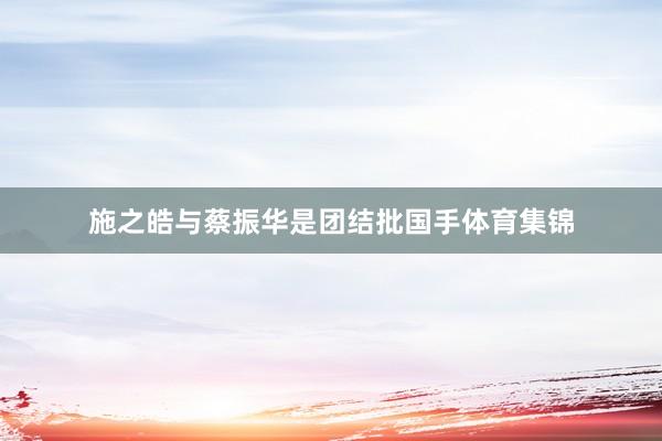 施之皓与蔡振华是团结批国手体育集锦