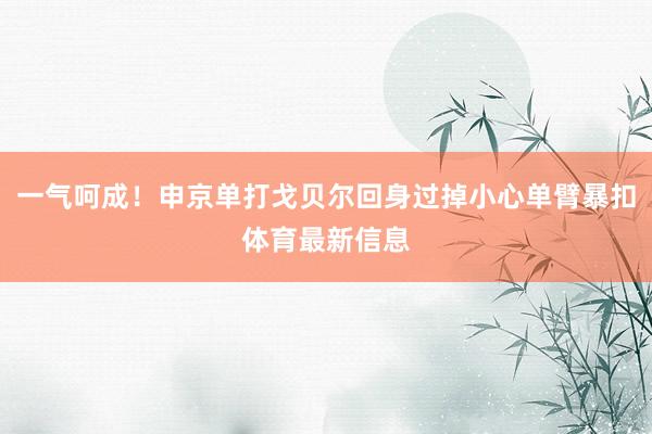 一气呵成！申京单打戈贝尔回身过掉小心单臂暴扣体育最新信息