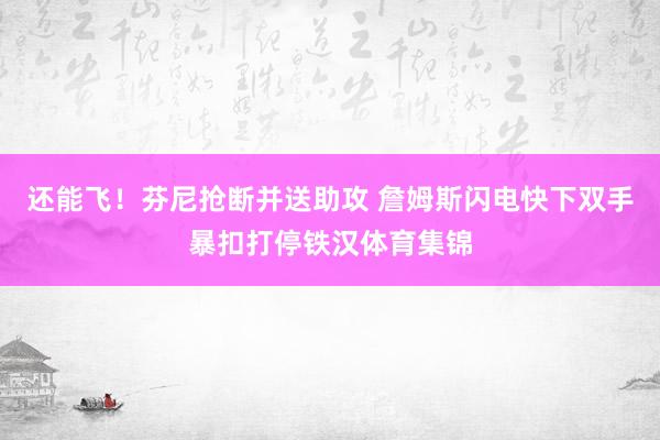 还能飞！芬尼抢断并送助攻 詹姆斯闪电快下双手暴扣打停铁汉体育集锦