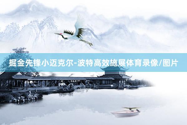 掘金先锋小迈克尔-波特高效施展体育录像/图片