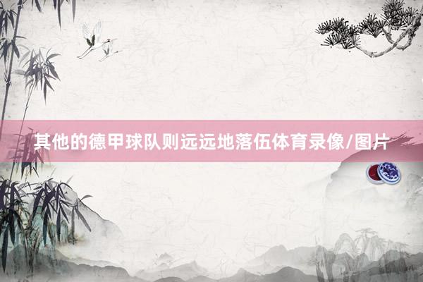 其他的德甲球队则远远地落伍体育录像/图片