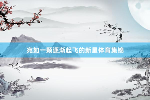 宛如一颗逐渐起飞的新星体育集锦