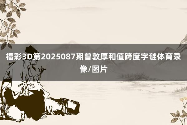 福彩3D第2025087期曾敦厚和值跨度字谜体育录像/图片