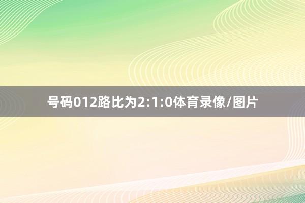 号码012路比为2:1:0体育录像/图片