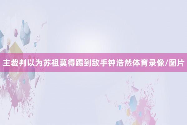 主裁判以为苏祖莫得踢到敌手钟浩然体育录像/图片