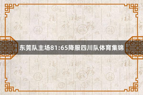 东莞队主场81:65降服四川队体育集锦