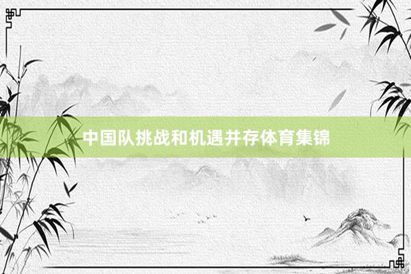 中国队挑战和机遇并存体育集锦