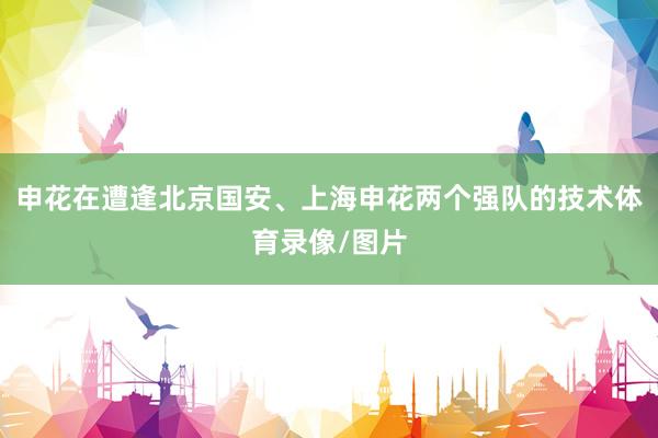 申花在遭逢北京国安、上海申花两个强队的技术体育录像/图片