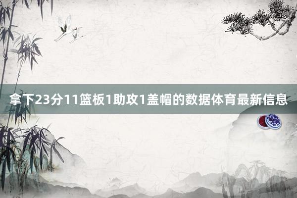 拿下23分11篮板1助攻1盖帽的数据体育最新信息
