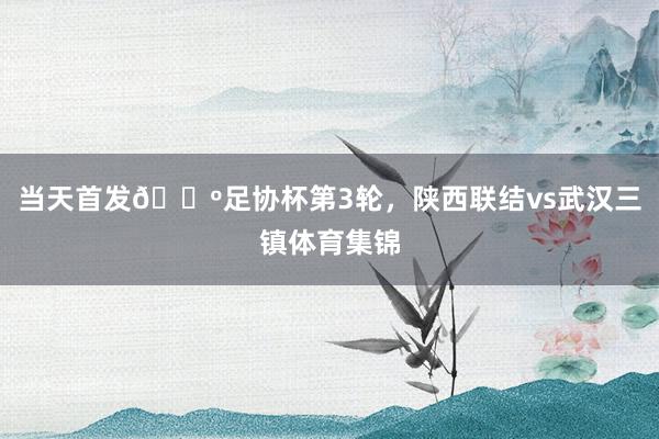 当天首发🐺足协杯第3轮，陕西联结vs武汉三镇体育集锦
