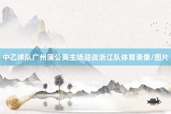 中乙球队广州蒲公英主场迎战浙江队体育录像/图片