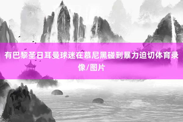 有巴黎圣日耳曼球迷在慕尼黑碰到暴力迫切体育录像/图片
