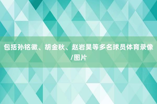 包括孙铭徽、胡金秋、赵岩昊等多名球员体育录像/图片