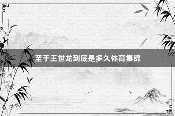至于王世龙到底是多久体育集锦