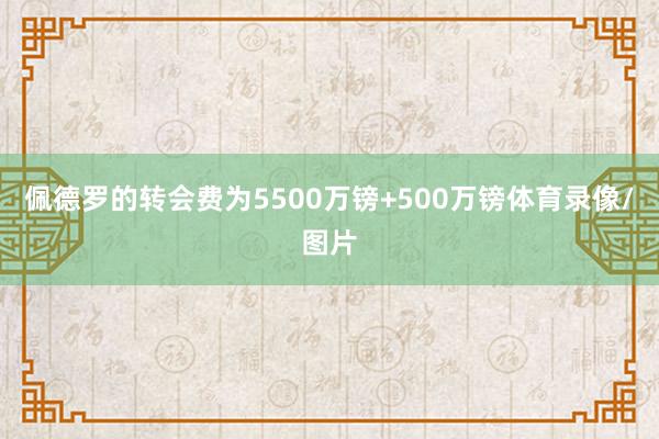 佩德罗的转会费为5500万镑+500万镑体育录像/图片