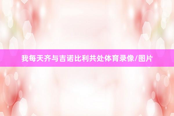 我每天齐与吉诺比利共处体育录像/图片