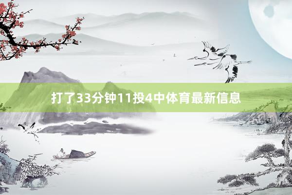 打了33分钟11投4中体育最新信息
