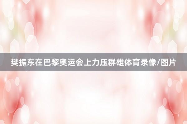 樊振东在巴黎奥运会上力压群雄体育录像/图片