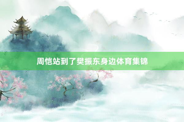 周恺站到了樊振东身边体育集锦