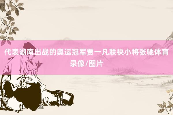 代表湖南出战的奥运冠军贾一凡联袂小将张驰体育录像/图片