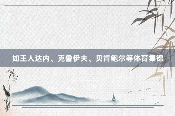 如王人达内、克鲁伊夫、贝肯鲍尔等体育集锦