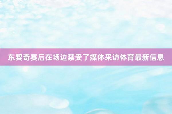 东契奇赛后在场边禁受了媒体采访体育最新信息