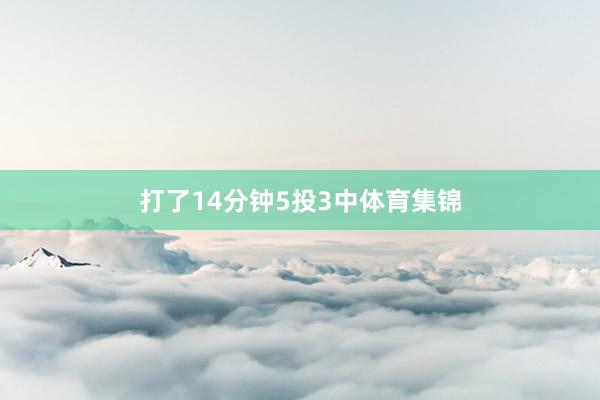 打了14分钟5投3中体育集锦