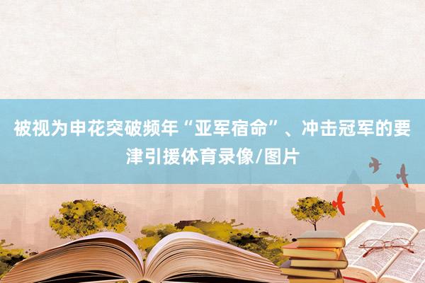 被视为申花突破频年“亚军宿命”、冲击冠军的要津引援体育录像/图片