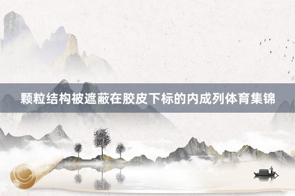 颗粒结构被遮蔽在胶皮下标的内成列体育集锦