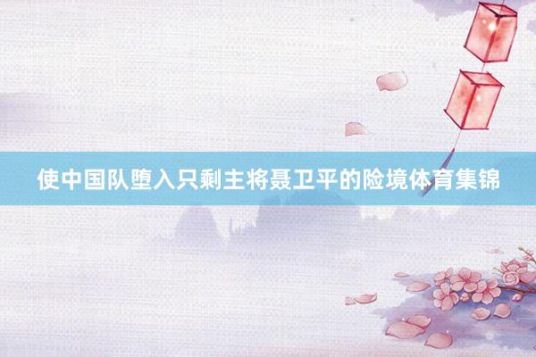 使中国队堕入只剩主将聂卫平的险境体育集锦