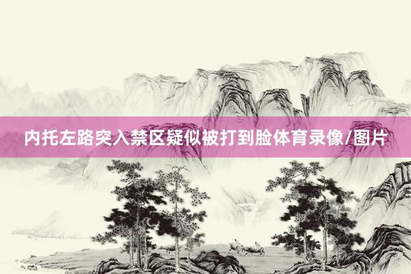 内托左路突入禁区疑似被打到脸体育录像/图片
