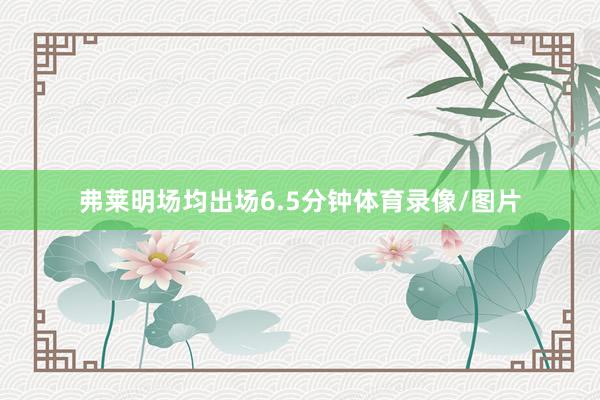 弗莱明场均出场6.5分钟体育录像/图片
