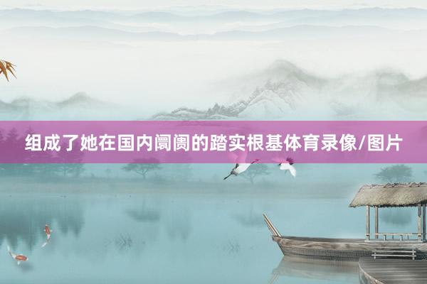 组成了她在国内阛阓的踏实根基体育录像/图片