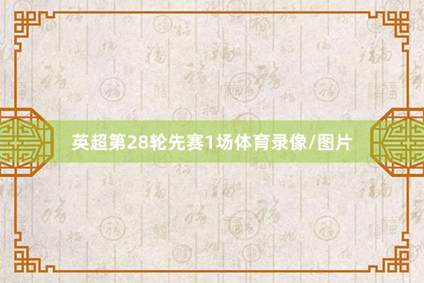 英超第28轮先赛1场体育录像/图片
