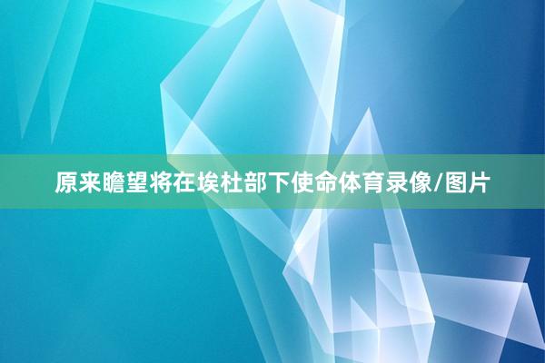 原来瞻望将在埃杜部下使命体育录像/图片