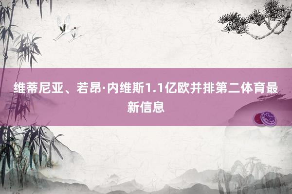 维蒂尼亚、若昂·内维斯1.1亿欧并排第二体育最新信息