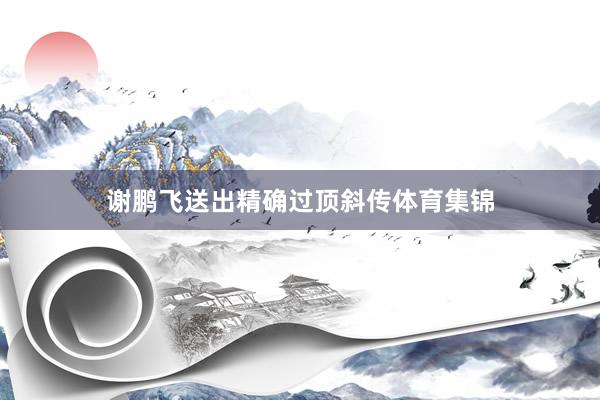 谢鹏飞送出精确过顶斜传体育集锦