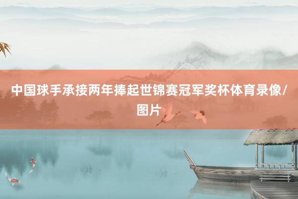 中国球手承接两年捧起世锦赛冠军奖杯体育录像/图片