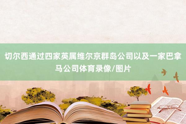 切尔西通过四家英属维尔京群岛公司以及一家巴拿马公司体育录像/图片