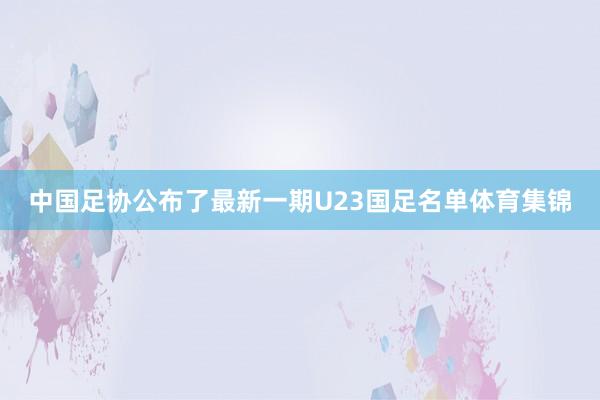 中国足协公布了最新一期U23国足名单体育集锦