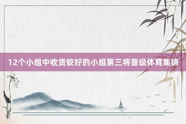 12个小组中收货较好的小组第三将晋级体育集锦